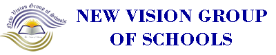 New Vision Schools